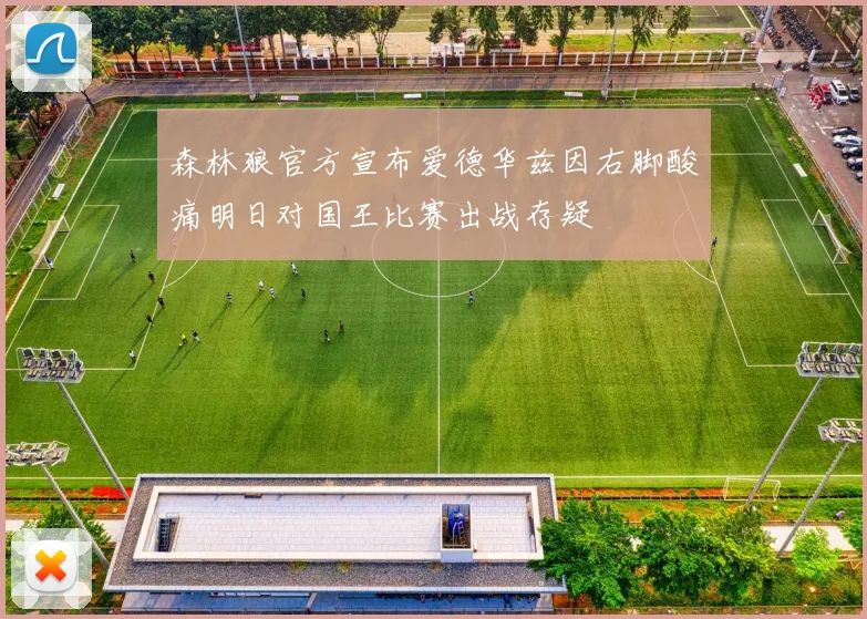 森林狼官方宣布爱德华兹因右脚酸痛明日对国王比赛出战存疑