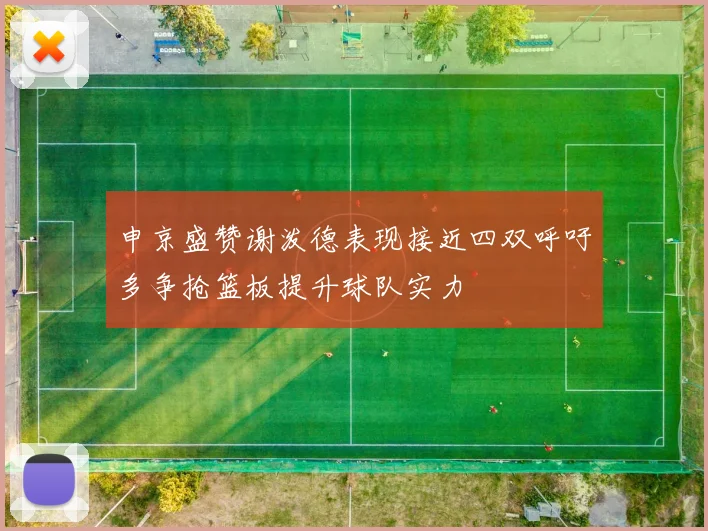 申京盛赞谢泼德表现接近四双呼吁多争抢篮板提升球队实力